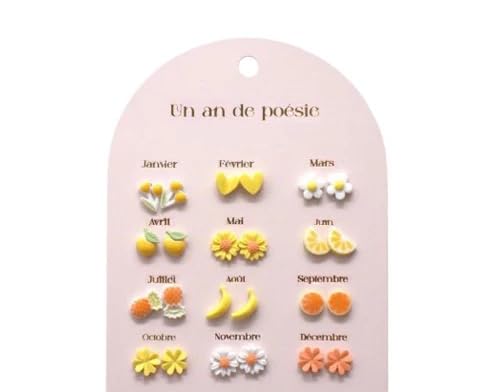 Boucles d'Oreilles pour Un An, 12 Paires de Boucles d'Oreilles Mensuelles, Thème Saisonnier, Janvier à Décembre