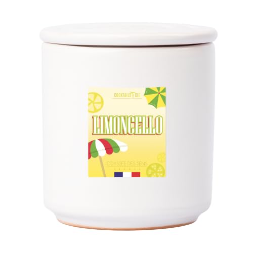 Bougies Cocktail Rose Pamplemousse, Bougie Parfumée en Cire, Style Français, Pot en Céramique Blanche