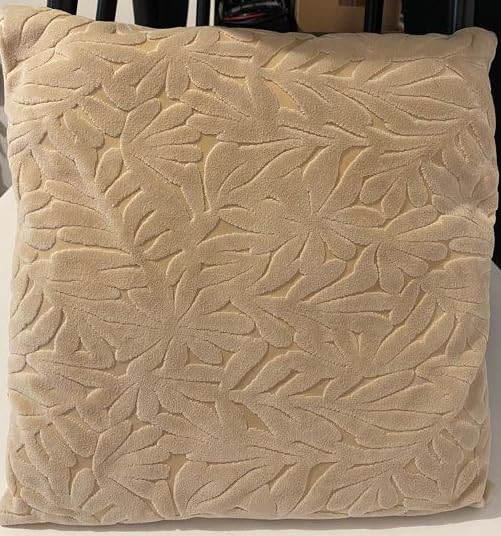 Coussin Décoratif en Tissu avec Broderie Dorée, Housse de Protection Transparente