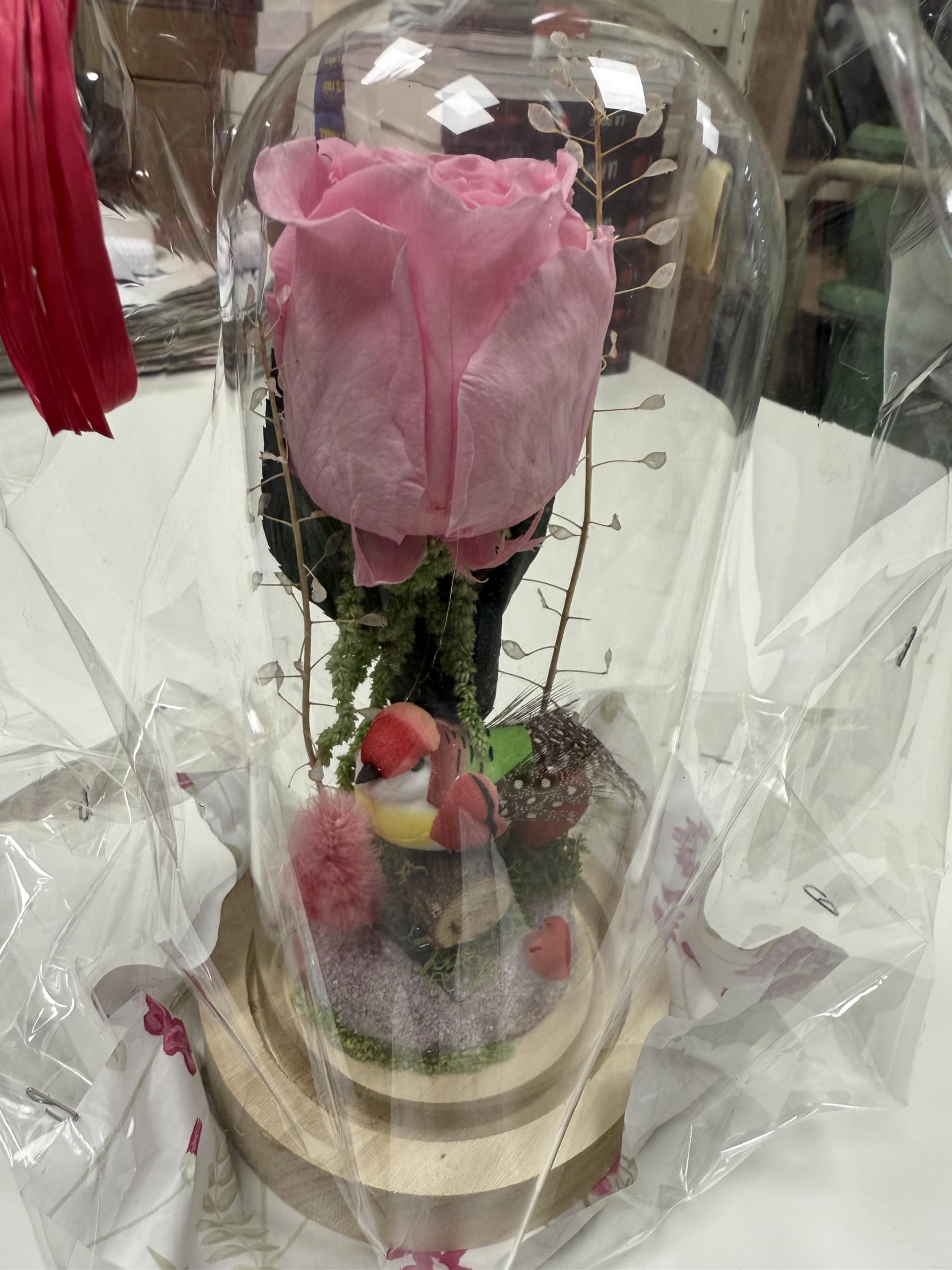 Rose Éternelle sous Cloche en Verre, Fleur Préservée avec Décoration, sur Socle en Bois