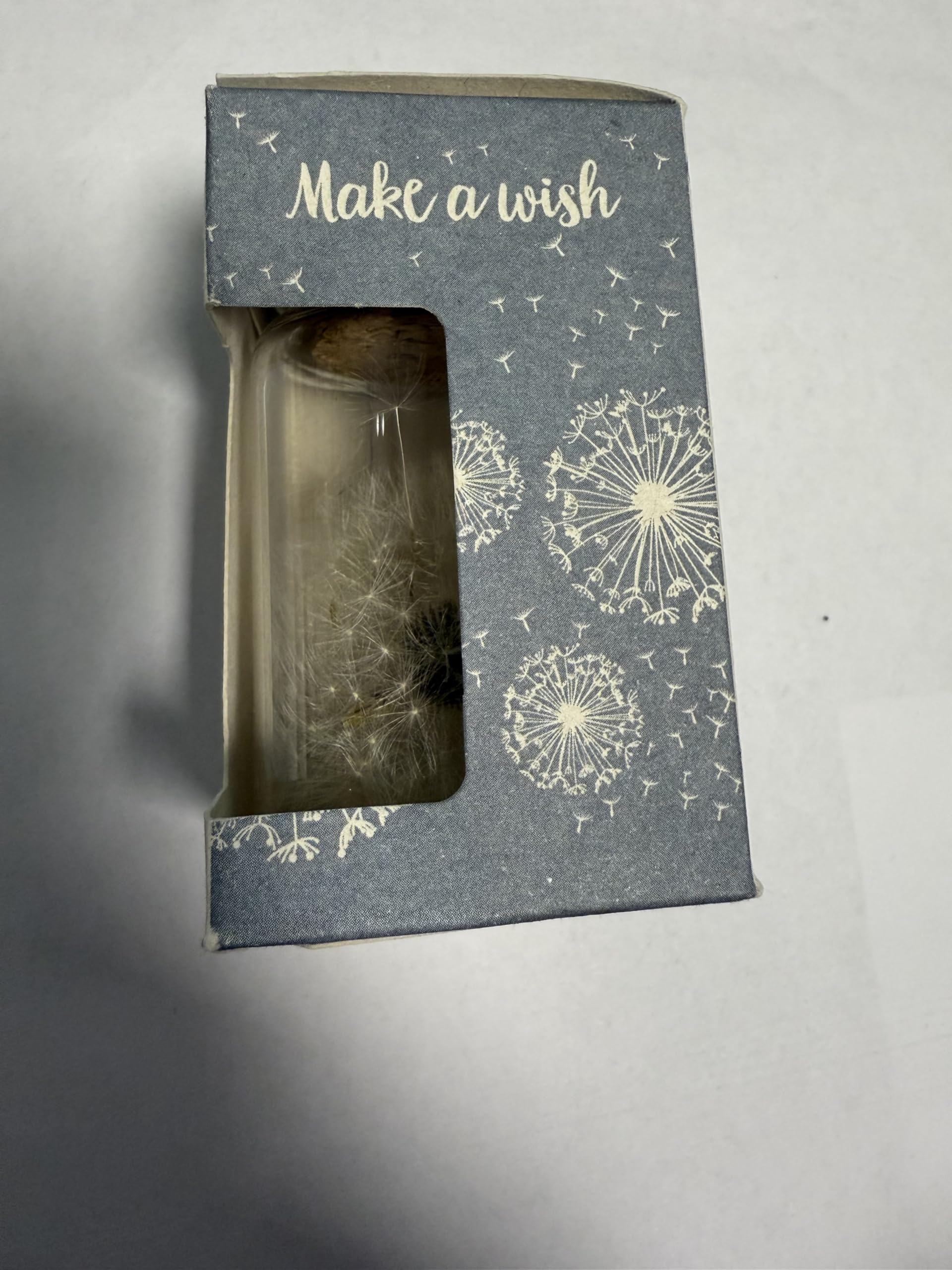 Boule à Vœux Décorative en Verre avec Graines de Pissenlit, Boîte Cadeau Make a Wish