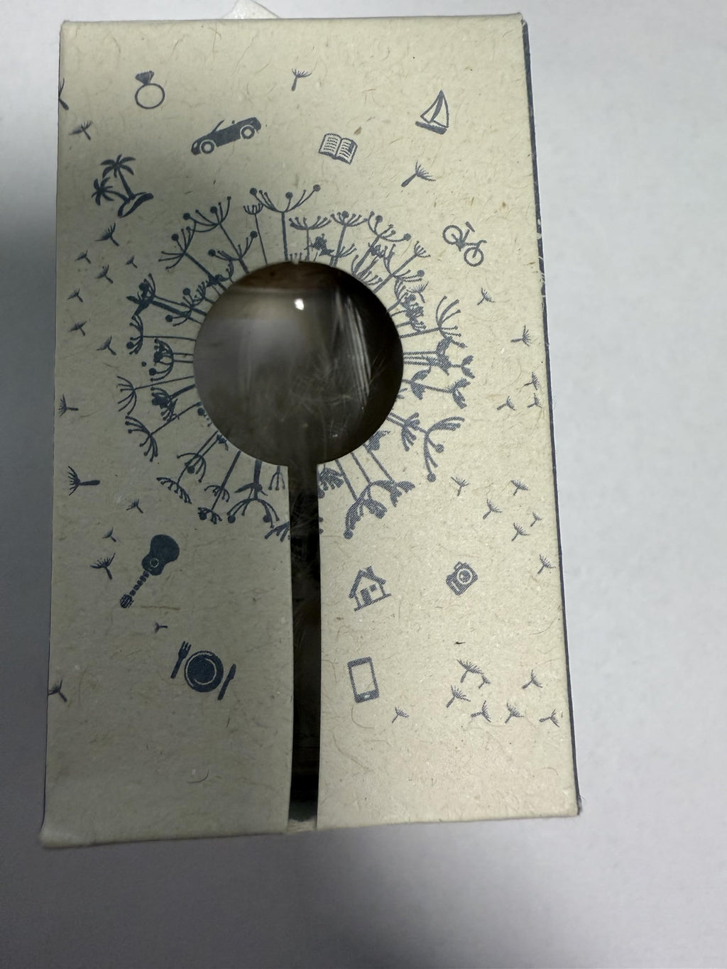 Boule à Vœux Décorative en Verre avec Graines de Pissenlit, Boîte Cadeau Make a Wish