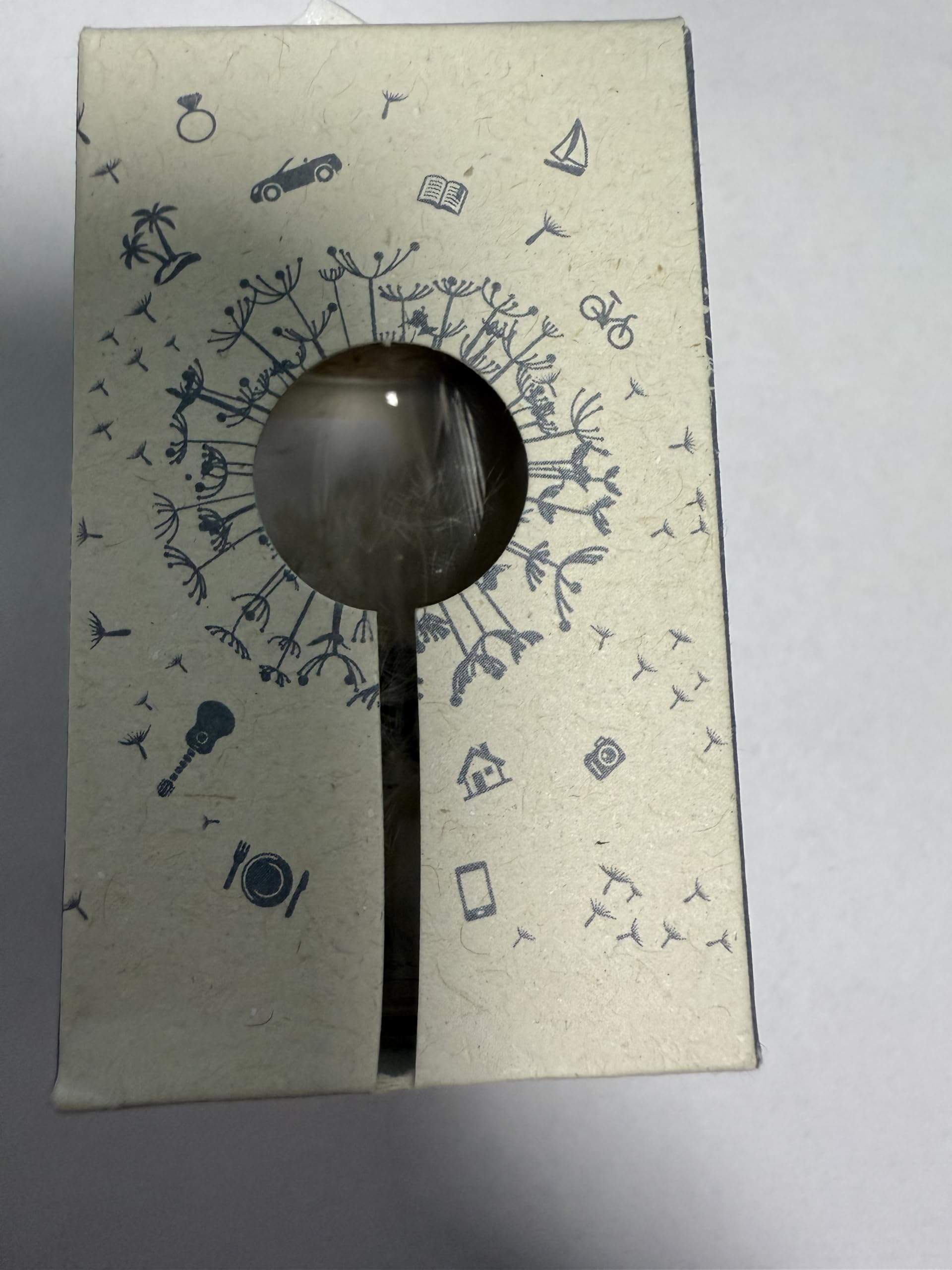 Boule à Vœux Décorative en Verre avec Graines de Pissenlit, Boîte Cadeau Make a Wish