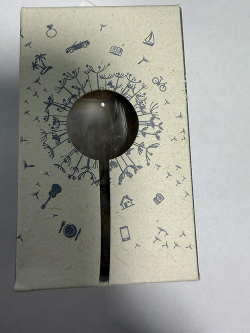 Boule à Vœux Décorative en Verre avec Graines de Pissenlit, Boîte Cadeau Make a Wish