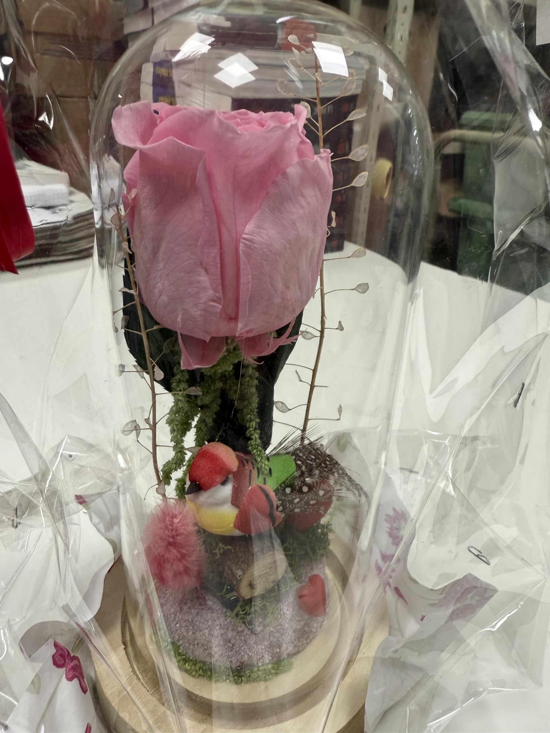 Rose Éternelle sous Cloche en Verre, Fleur Préservée avec Décoration, sur Socle en Bois